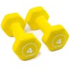 Vinyl Hex Dumbbells