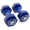 Vinyl Hex Dumbbells