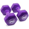 Vinyl Hex Dumbbells