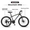 S24102 24 Inch Mountain Bike Boys Girls, Steel Frame, 21 Speed Mountain Bicycle with Daul Disc Brakes and Front Suspension MTB